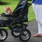 Best Pet Stroller