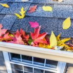 gutter cleaning halstead essex