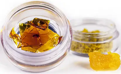 CBD Concentrate At Cheefbotanicals: Everything You Should Know